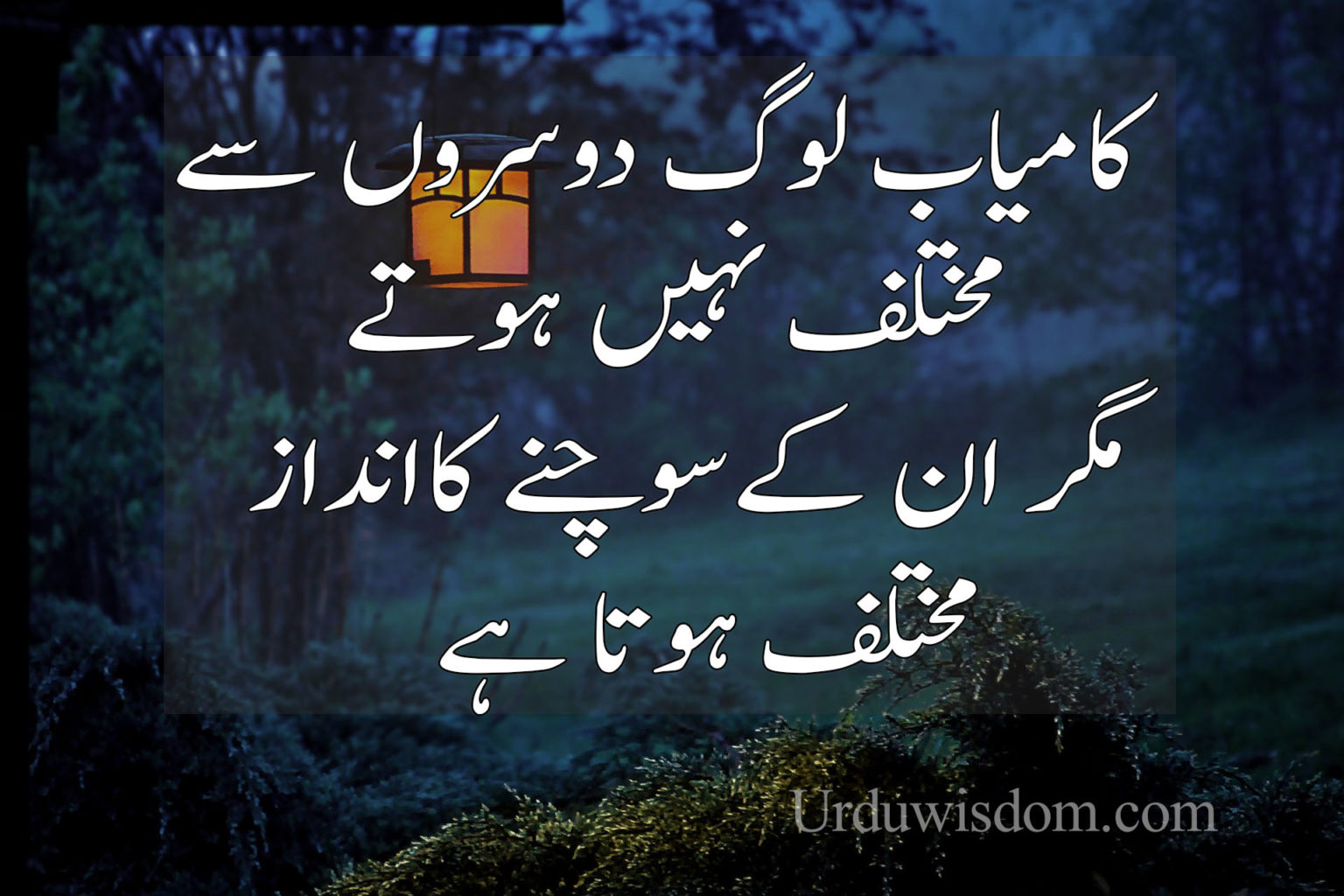 urdu quotes text