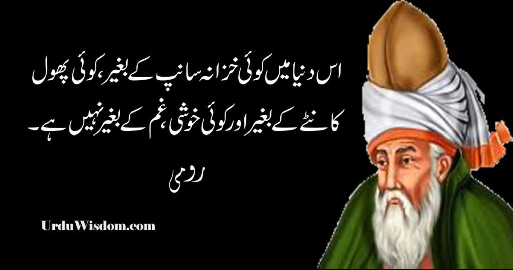 Rumi Quotes in Urdu رومی کے وہ افکار جو آپ کی زندگی بدل دیں 2 Rumi quotes in urdu