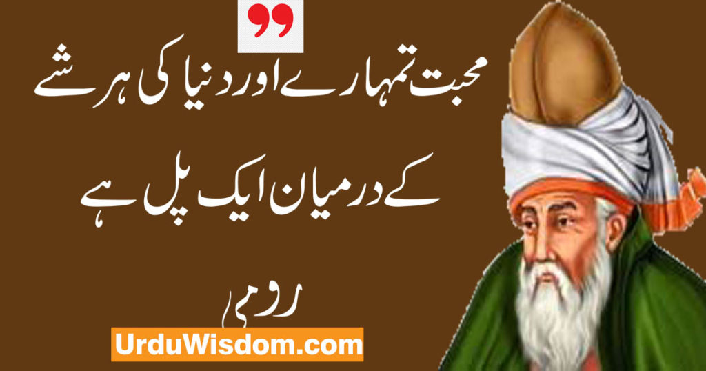Rumi Quotes in Urdu رومی کے وہ افکار جو آپ کی زندگی بدل دیں 12 rumi quotes in urdu