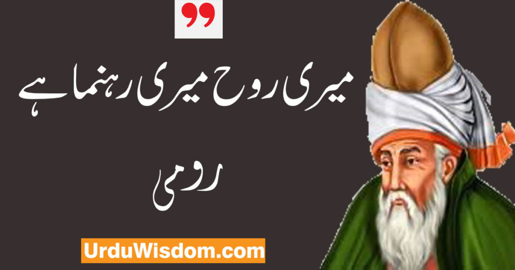 Rumi Quotes in Urdu رومی کے وہ افکار جو آپ کی زندگی بدل دیں 4 Rumi quotes in urdu