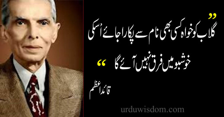 100 Best Quaid e Azam Quotes for Students in Urdu 21 100 Best Quaid e Azam Quotes for Students in Urdu 9