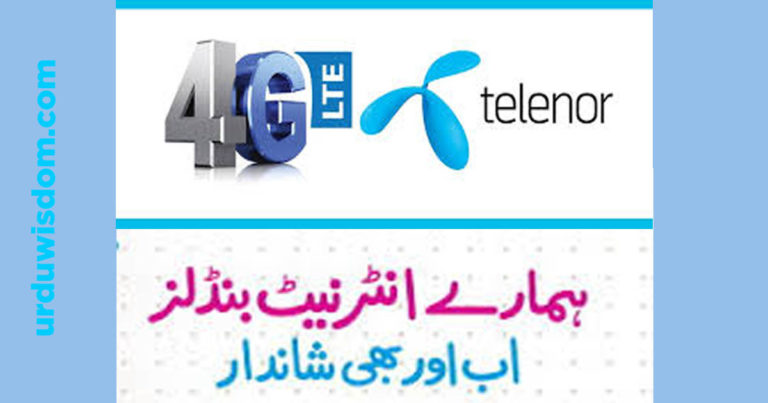 telenor internet packages