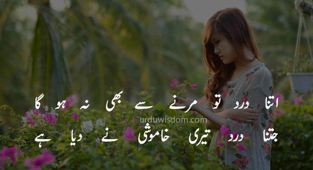 Poetry Love In Urdu 8 Poetry Love In Urdu 5