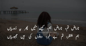 poetry love in urdu