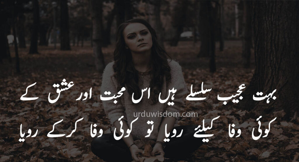 Poetry Love In Urdu 17 Poetry Love In Urdu 13