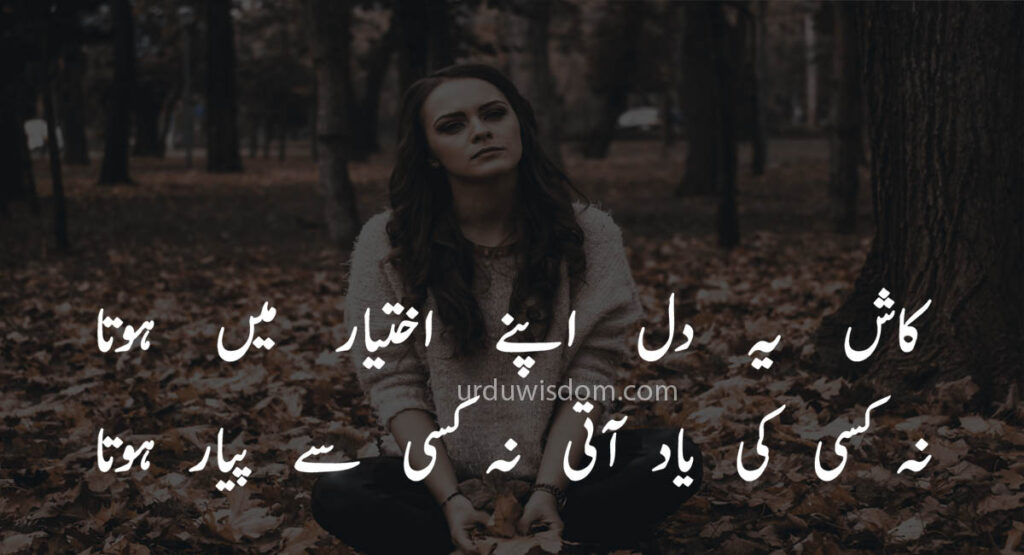 Poetry Love In Urdu 5 Poetry Love In Urdu 2