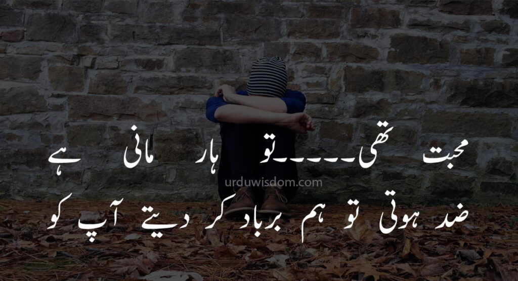 Poetry Love In Urdu 10 Poetry Love In Urdu 7