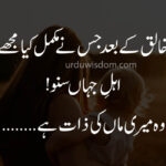 Top 20 Mother Quotes in Urdu 13