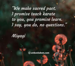 karate kid quotes