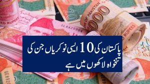 Top 10 Highest Paid Jobs in Pakistan in Urdu