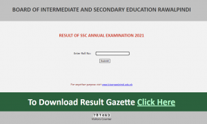 11th class result 2021