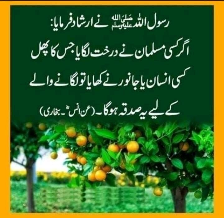 Best Quotes in Urdu that will Inspire and Motivate you for a better life 15 Best Quotes in Urdu that will Inspire and Motivate you for a better life 9