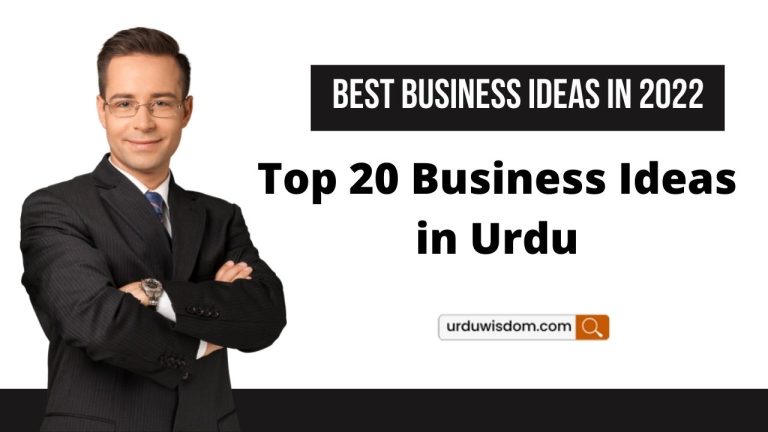 Top 20 Business Ideas in Urdu (2022) 2