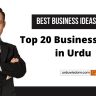 Top 20 Business Ideas in Urdu (2022) 11