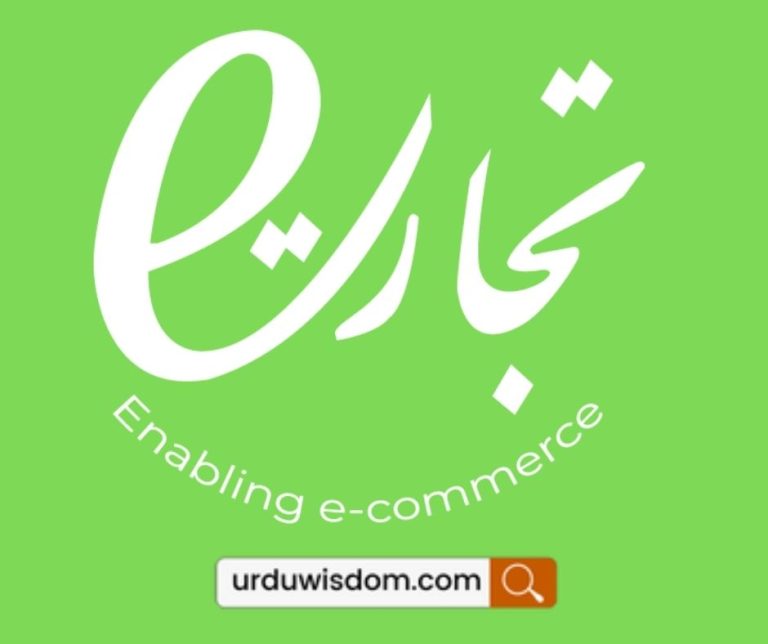 What is the E-Tijarat portal & Its Benefits for E-Commerce in Pakistan? 6