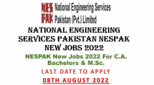 National Engineering Services Pakistan NESPAK New Jobs 2022