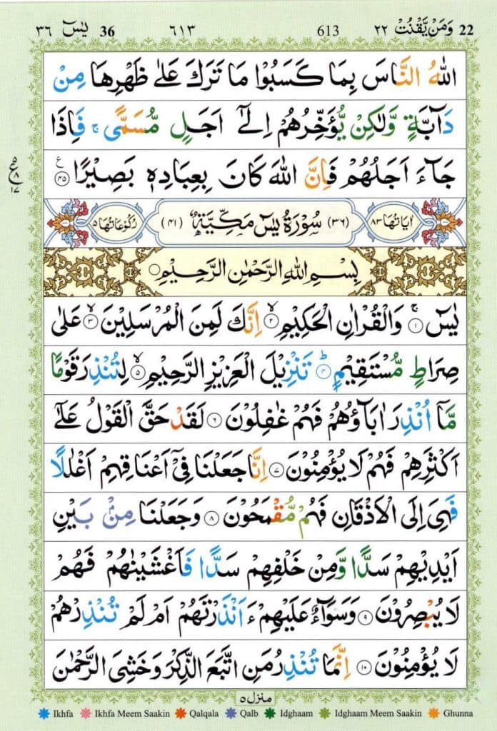 Surah Yaseen Read Online | Surah Yaseen PDF Arabic, English, Urdu سورۃ یس 1 Surah Yaseen