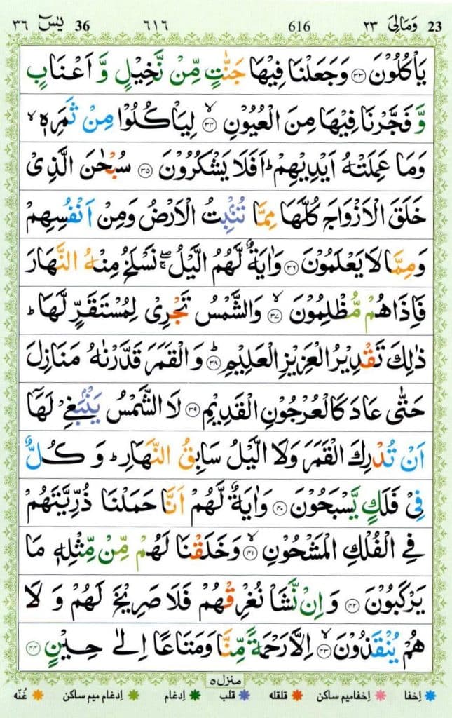 Surah Yaseen PDF