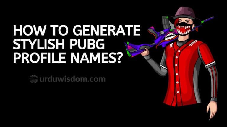<strong>How to Generate Stylish PUBG Profile Names?</strong> 2