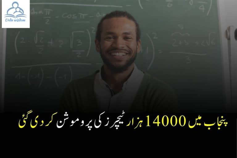 Punjab Promotes 14,000 School Teachers | ٹیچرز کی پرموشن