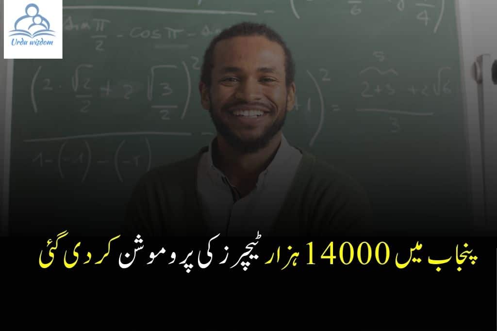 Punjab Promotes 14,000 School Teachers | ٹیچرز کی پرموشن 1