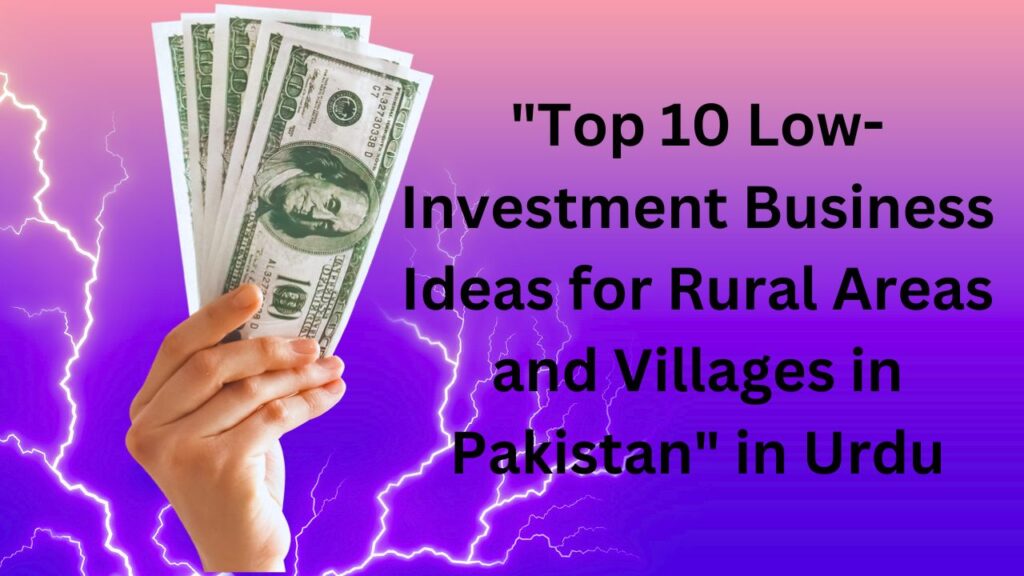 "Top 10 Low-Investment Business Ideas for Rural Areas and Villages in Pakistan" in Urdu