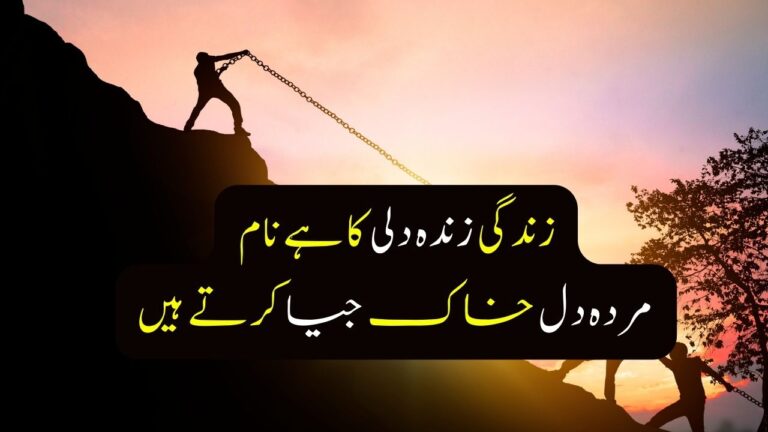 Best Urdu Poetry in Text: A Dive into Deep, Stylish, and Attitude-Filled Expressions 9