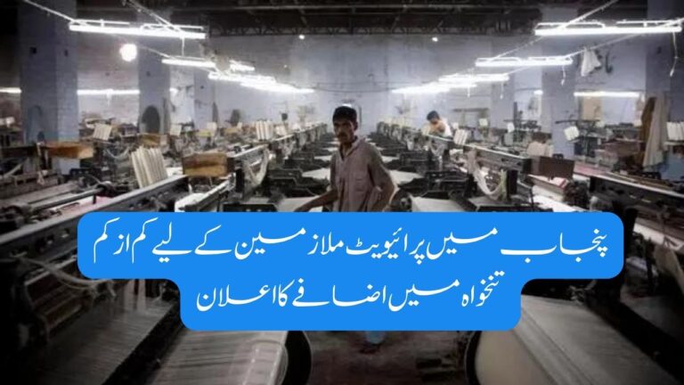 پنجاب میں پرائیویٹ ملازمین کے لیے کم از کم تنخواہ میں اضافے کا اعلان 7