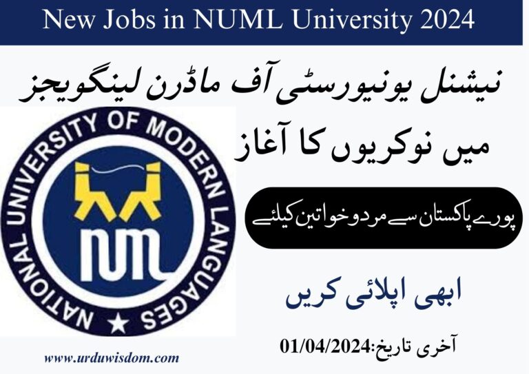 National University of Modern Languages NUML Islamabad Jobs 2024