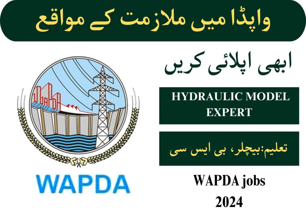 JOB OPPORTUNITY IN NANDIPUR = HYDRAULIC MODEL EXPERT / SPECIALIST Job 2024 1