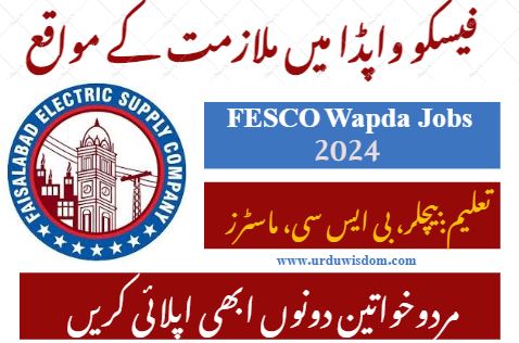 Latest WAPDA SDO Jobs 2024 – Apply Now for Sub Divisional Officers